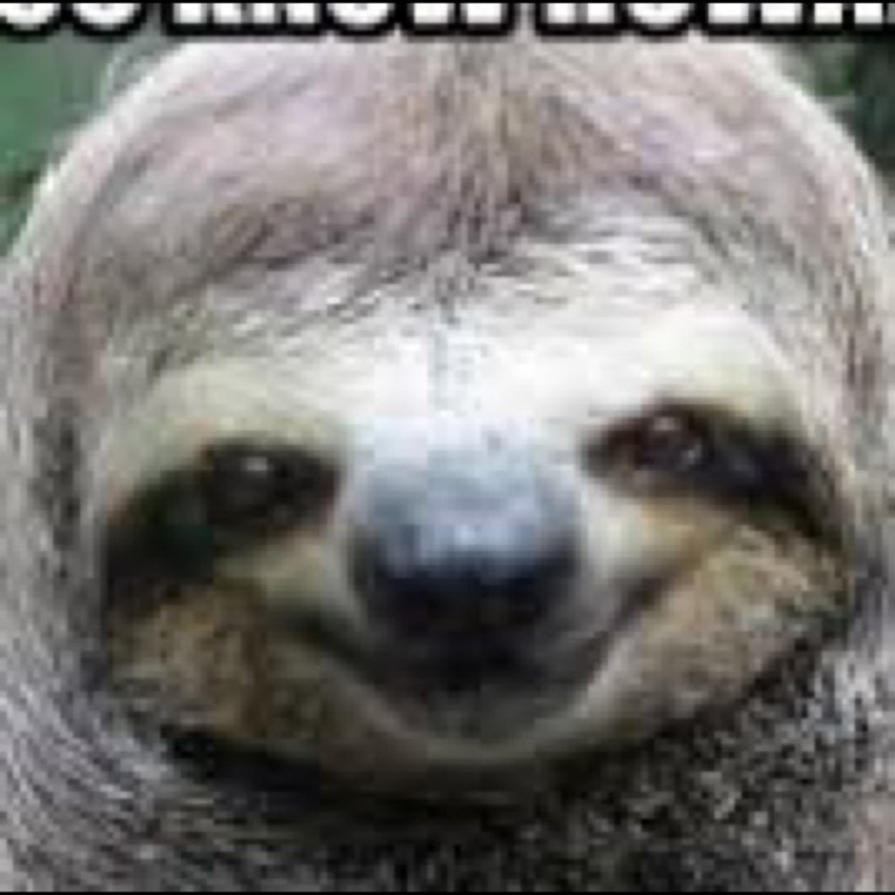 Meet your Posher, Bella